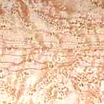 Birds Eye Maple