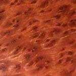 Red Wood Burl